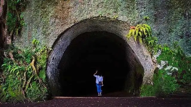 Biaya masuk dan kegiatan Taman Hutan Raya Djuanda